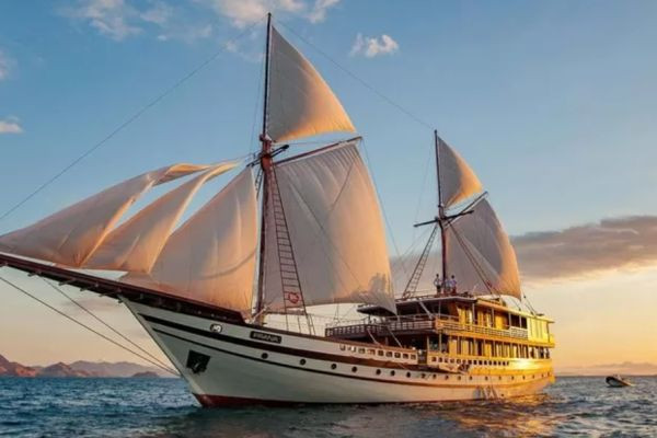 Peluang Bisnis Ikan Hias